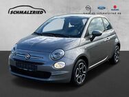 Fiat 500, 1.0 Club Mild Hybrid Musikstreaming, Jahr 2023 - Bremerhaven