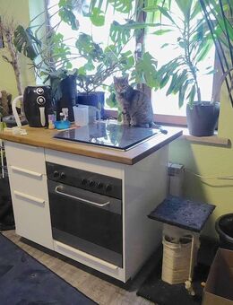 Zwei Wohneinheiten: Haus mit 6 Zimmern und Garage - Steinefrenz