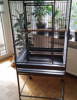 Papageienkäfig,Großsittichkäfig mit Freisitz oben und Platz innen .... - Garbsen