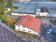 Vielseitiges Wohn- und Geschäftshaus in Hagenbach: 400 m² Gesamtfläche für Wohnen und Arbeiten - Hagenbach