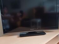 Panasonic Fernseher - Großniedesheim