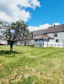 Fehl-Ritzhausen: sanierungsbedürftiges Bauernhaus mit Scheune und Garage sowie großem Areal - Fehl-Ritzhausen