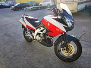 Suzuki V-Strom DL 1000 - Stralsund