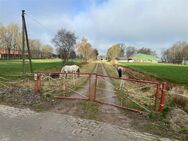 Ideal für Pferdehalter! Resthof mit Pferdeboxen und 4 ha Weideland am Haus! Odisheim - Odisheim