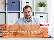 Senior Referent* Konzernrechnungslegung und Bilanzierung - Braunschweig