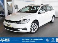 VW Golf Variant, 2.0 TDI Golf 7 Comfortline, Jahr 2019 - Blomberg (Nordrhein-Westfalen)