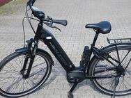 verkaufe E Bike Raleigh LTD 25 kmh - Bielefeld