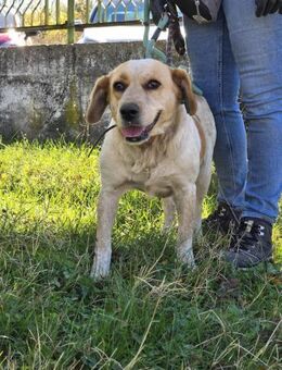 TUTTI ist eine sanfte sensible Seele ♥️ - München