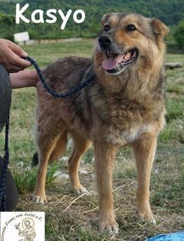 Kasyo Lass uns gemeinsam ... - Kissing