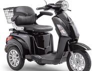 Luxxon Elektromobil E3800, 800 W, 20 km/h, (Elektroroller, Korb), bis zu 65 km Reichweite, Elektro Dreirad, Seniorenmobil