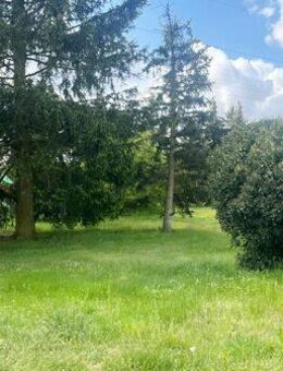 Einfamilienhaus - Bezugsfrei - Tröbitz