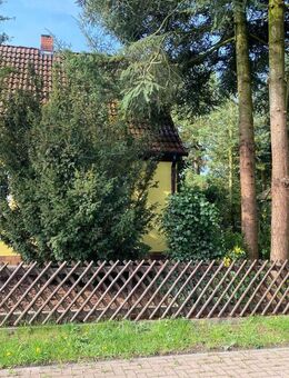 Doppelhaushälfte in ruhiger Lage - Pasewalk