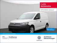 VW Caddy, Maxi Cargo Caddy Maxi Kasten, Jahr 2023 - Bad Oeynhausen
