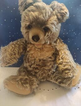 Steiff Zotty Teddy Bär Teddybär Handarbeit gebraucht alt selten - Grünendeich