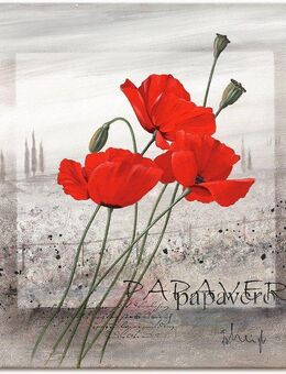 Artland Wandbild Mohnblumen, Blumen (1 St), als Leinwandbild, Poster, Wandaufkleber in verschied. Größen