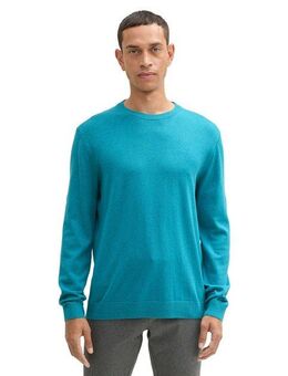 TOM TAILOR Rundhalspullover mit Logostickerei