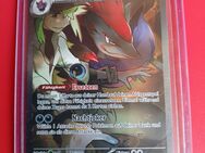 Pokemon NS Zoroark Reisegefährten deutsch - Duisburg