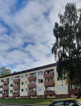 Gemütliche 1-Zimmer Wohnung - Göttingen