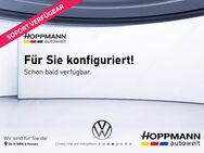 VW Golf, 1.5 l EDITION 50 eTSI OPF, Jahr 2022 - Haiger