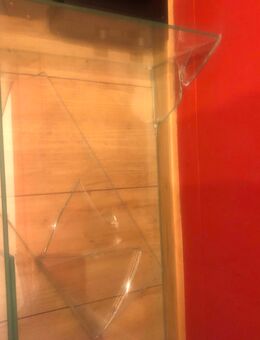 Suche Glaser für Käfig - Aalen