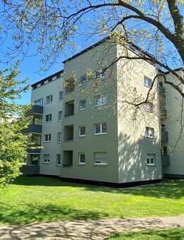 Helle 4-Zimmer-Wohnung in Fritzlar - Fritzlar