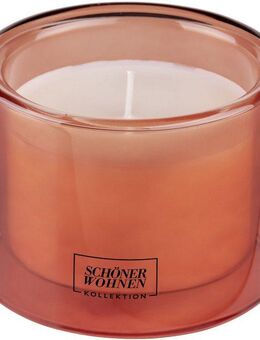 SCHÖNER WOHNEN-Kollektion Duftkerze »Sandalwood M« (1-tlg), im Glas, warmer & eleganter Duft, Brenndauer 30 - 40 Stunden