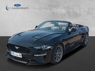 Ford Mustang GT Convertible "OZ/Asch" - Duderstadt