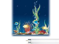 Narva Aquarium Leuchtstofflampe LT18 Watt Daylight 60 cm - Verden (Aller)