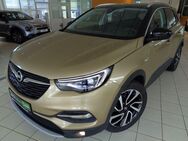 Opel Grandland X 1.2 Turbo ULTIMATE 1. Hand, Denon SS - Oelsnitz