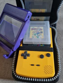 Gameboy Color - Erpel