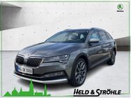 Skoda Superb, Combi Scout "Final Edt " TDI, Jahr 2024 - Neu Ulm