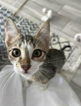 Martin, neugieriger Abenteurer, ca. 5 Mo - Vaterstetten