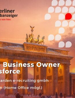 SaaS Business Owner Salesforce (m/w/d) - Berlin