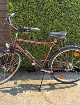Herren Fahrrad 28 Zoll Citybike - Gladbeck