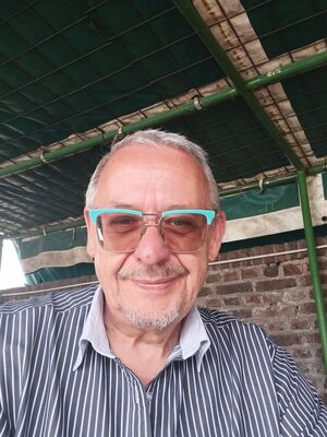 Profil
