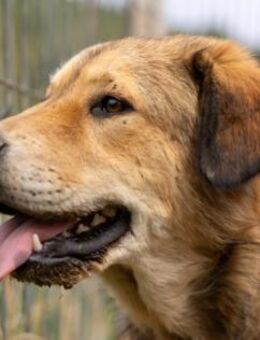 liebe, zauberhafte Praha - Kallmünz