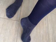 Getragene Reitsocken - Köln