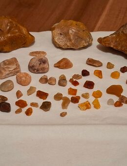 Steinesammlung Die Schätze des Meeres ( Bernstein, Seeglas, uvm) - Bad Frankenhausen (Kyffhäuser) Zentrum