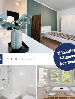 Möbliertes 1-Zimmer-Apartment - Darmstadt Innenstadt Bestlage - Darmstadt