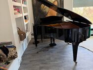 Bechstein Flügel M180 Bj. 1973 schwarz, Damp Chaser sehr gepflegt - Tengen