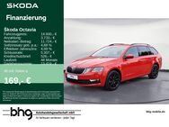 Skoda Octavia, 1.6 TDI Combi Ambition BusinessAmundsen conn, Jahr 2018 - Kehl