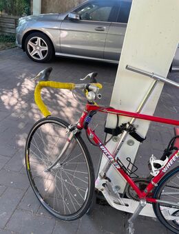 Rennrad - Dormagen