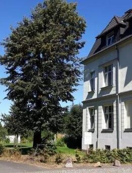 Dachwohnung in schöner Stadtvilla - Limbach-Oberfrohna