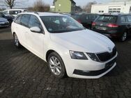 Skoda Octavia Combi Tour - Bergkamen