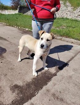 Die liebe Debra ist voller Lebensfreude - Dortmund