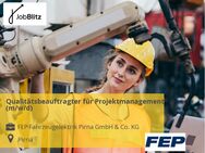 Qualitätsbeauftragter für Projektmanagement (m/w/d) - Pirna