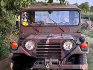 Militärfahrzeug Ford Mutt M151 A2 + Anhänger und Zubehör - Ober-Flörsheim