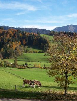 Privatverkauf EFH in Oberstaufen-Weißach - Oberstaufen