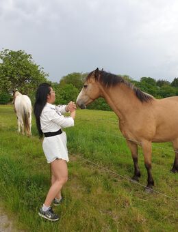 Ich suche einen Minijob , Praktikum - Giershausen