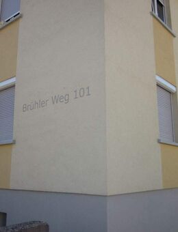 2 Zimmer in Plankstadt - Plankstadt